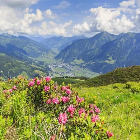 Apartament In Near Slopes